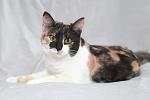     
: DSC_1828.jpg
: 43
:	66.1 
ID:	9428745