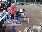     
: DSC00539.jpg
: 16
:	173.9 
ID:	9430343