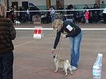     
: DSC00534.jpg
: 15
:	128.7 
ID:	9430347