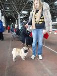     
: DSC00529.jpg
: 18
:	122.4 
ID:	9430348