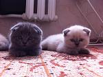     
: IMG_0080.jpg
: 45
:	149.6 
ID:	9431170