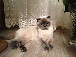     
: IMG_0095.jpg
: 48
:	164.7 
ID:	9431175