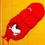     
: image(2)-2.jpg
: 7
:	58.9 
ID:	9431690