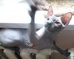     
: IMG_7154.jpg
: 23
:	112.7 
ID:	943176