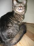     
: IMG_7170.jpg
: 21
:	132.7 
ID:	943201