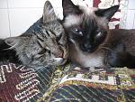     
: IMG_7175.jpg
: 34
:	189.7 
ID:	943239
