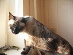    
: IMG_7171.jpg
: 34
:	144.0 
ID:	943249