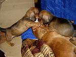     
: P2191731.jpg
: 16
:	156.5 
ID:	9433317