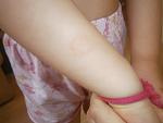     
: P8250353.jpg
: 50
:	69.3 
ID:	9434259