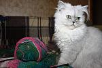     
: IMG_5922.jpg
: 9
:	105.2 
ID:	9434979
