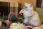     
: IMG_5917.jpg
: 10
:	126.7 
ID:	9434980