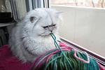     
: IMG_5946.jpg
: 12
:	87.9 
ID:	9434981