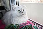     
: IMG_5936.jpg
: 11
:	84.5 
ID:	9434983