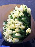     
: image_560603131822523095290.jpg
: 6
:	63.4 
ID:	9436237
