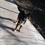     
: aBxyn7Ns6cg.jpg
: 14
:	131.9 
ID:	9440522