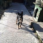     
: 2CNrwF_723o.jpg
: 12
:	117.3 
ID:	9440525