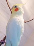     
: JFLSUq-1FFs.jpg
: 90
:	100.5 
ID:	9441251
