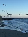     
: IMG_2595.jpg
: 36
:	66.9 
ID:	9441707