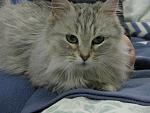     
: IMG_3909.jpg
: 7
:	139.3 
ID:	9445016
