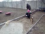     
: image.jpg
: 3
:	68.2 
ID:	9448861