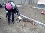     
: image.jpg
: 3
:	65.3 
ID:	9448867