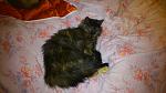     
: DSC_0699.jpg
: 21
:	94.2 
ID:	9453951