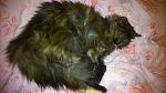     
: DSC_0698.jpg
: 25
:	111.6 
ID:	9453952
