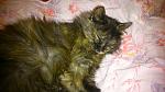     
: DSC_0701.jpg
: 16
:	145.8 
ID:	9453953