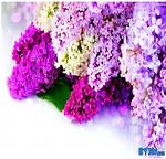     
: Безымянны2й.jpg
: 5
:	94.4 
ID:	9454955