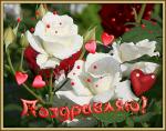     
: 85766014_POZDRAVLYAYU876.jpg
: 4
:	58.8 
ID:	9455853