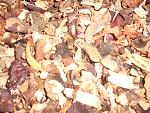     
: DSCN1206.jpg
: 34
:	170.4 
ID:	9455936