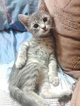     
: 9Aw29w0bEBU.jpg
: 12
:	161.4 
ID:	9458027