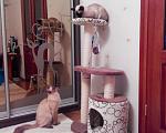     
: 20141228183543 - копия.jpg
: 21
:	162.1 
ID:	9460329