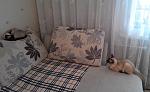    
: 20141228130118 - копия.jpg
: 17
:	121.2 
ID:	9460330