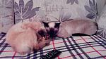     
: 20150216205204.jpg
: 18
:	141.8 
ID:	9460333