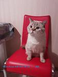     
: 20131227_182951.jpg
: 16
:	52.9 
ID:	9462980
