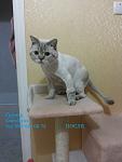    
: 20131227_191022.jpg
: 15
:	58.4 
ID:	9462981