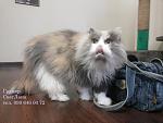     
: 20140305_150000 (1).jpg
: 16
:	106.4 
ID:	9462989