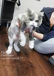     
: 20140305_154700 (1).jpg
: 15
:	82.2 
ID:	9462990