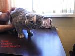     
: 20140330_154357.jpg
: 17
:	93.1 
ID:	9462992