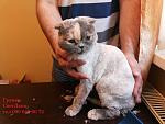     
: 20140330_162009.jpg
: 19
:	128.3 
ID:	9462994