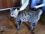     
: 20140409_141732.jpg
: 17
:	134.6 
ID:	9462996