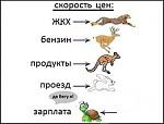     
: 11111111111111111111111111111111.jpg
: 21
:	15.1 
ID:	9463070
