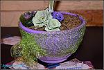     
: DSC_5661.jpg
: 38
:	156.5 
ID:	9463371
