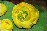     
: unnamed35.jpg
: 33
:	101.4 
ID:	9463592