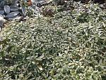     
: 2015-02-27 13.36.39.jpg
: 16
:	298.4 
ID:	9468465