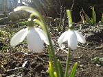     
: 2015-02-27 14.02.51.jpg
: 14
:	153.2 
ID:	9468471