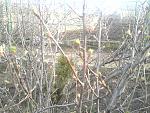     
: 2015-02-27 16.40.20.jpg
: 16
:	275.5 
ID:	9468474