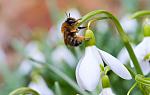     
: 0_7d132_45730f24_orig.jpg
: 71
:	62.4 
ID:	9468489