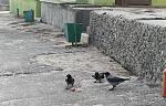     
: IMG_2754.jpg
: 22
:	152.3 
ID:	9469701